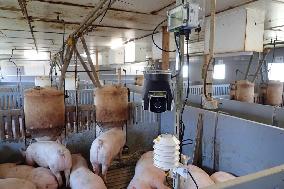 Demonstration experiment to remotely monitor the rearing environment of a piggery